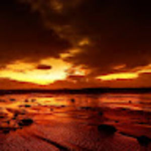 Meet your Posher, Vittoria